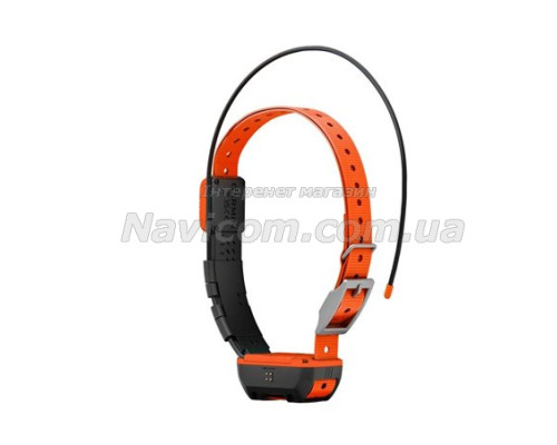 Нашийник для собак Garmin Alpha T 20