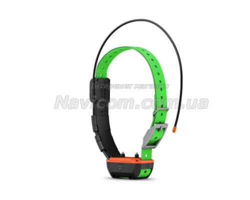 Нашийник для собак Garmin Alpha TT25