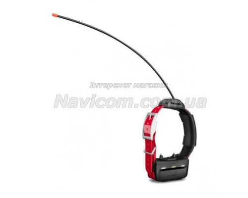 Нашийник для собак Garmin TT 15
