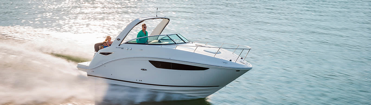 Динаміки серії Fusion SM розроблені для морського середовища