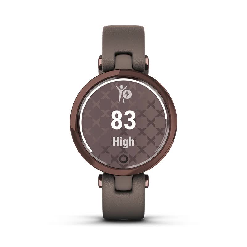 Слідкуйте за рівнем енергії у вашому організмі протягом дня з Garmin Lily