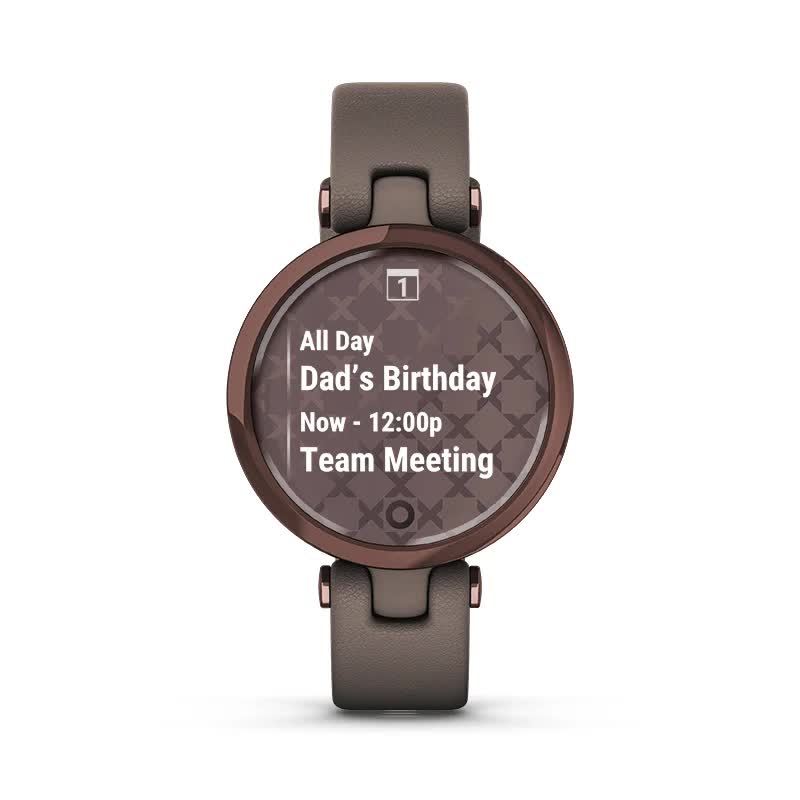 При синхронізації з сумісним смартфоном ви можете легко переглядати заплановані на день справи прямо на своєму зап’ясті